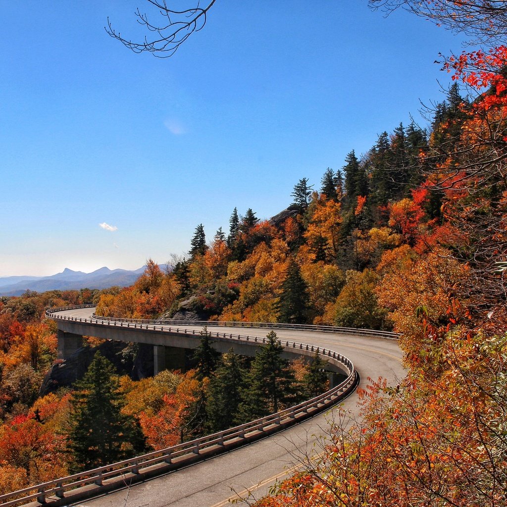 Обои мост, осень, северная каролина, деревья.пейзаж, bridge, autumn, north carolina, trees.landscape разрешение 2880x1920 Загрузить