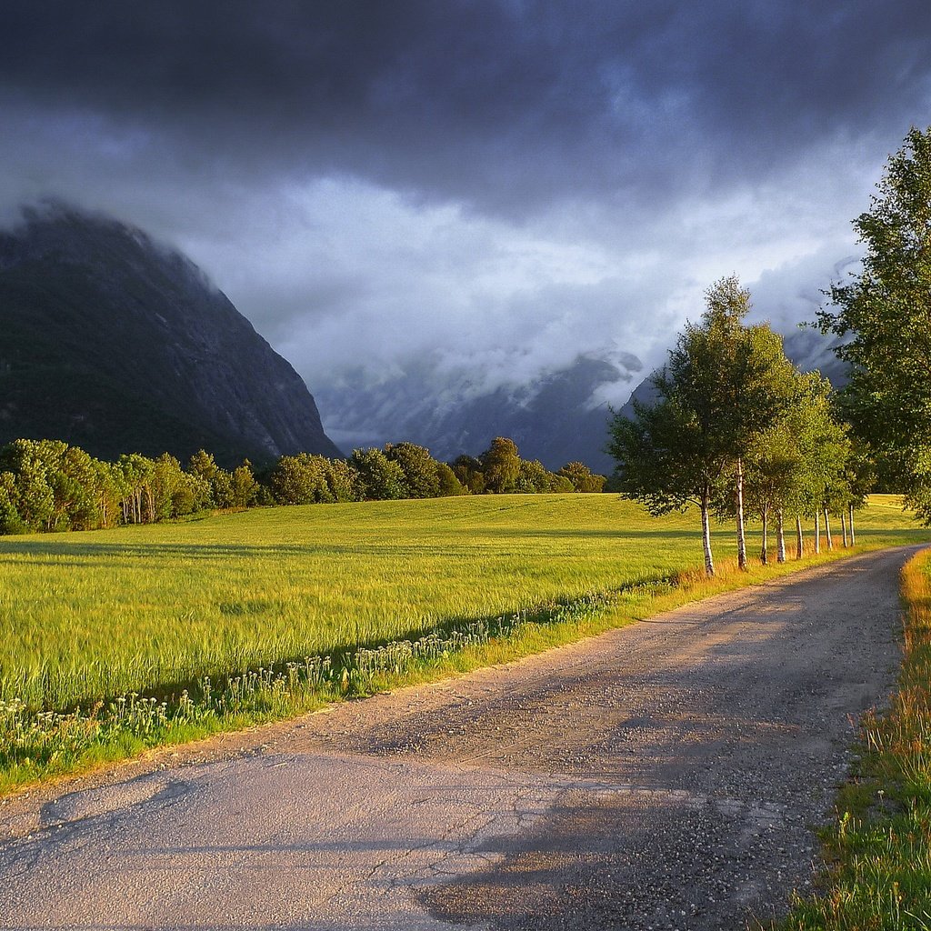 Обои дорога, деревья, горы, тучи, пейзаж, поле, road, trees, mountains, clouds, landscape, field разрешение 2880x1620 Загрузить