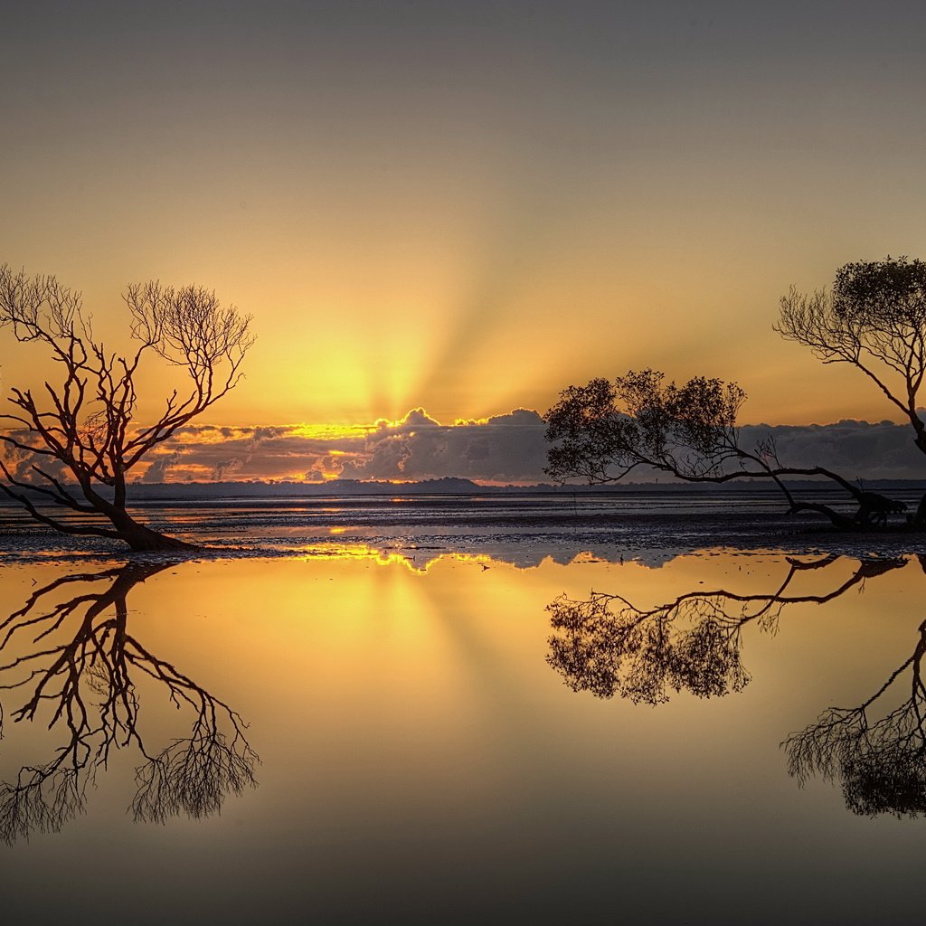 Обои деревья, вечер, озеро, природа, закат, отражение, trees, the evening, lake, nature, sunset, reflection разрешение 5592x3700 Загрузить