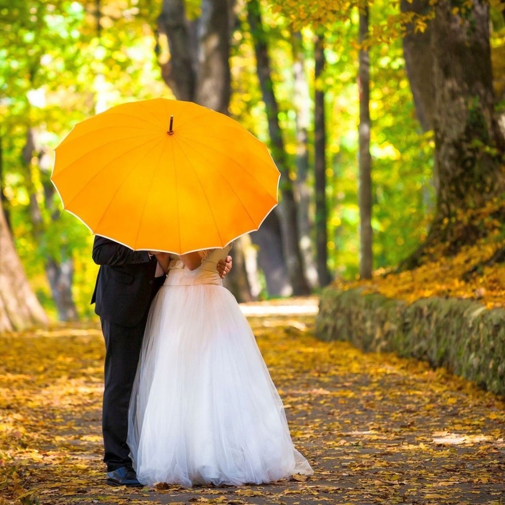 Обои зонтик, жених, невеста, композиция, umbrella, the groom, the bride, composition разрешение 2560x1600 Загрузить