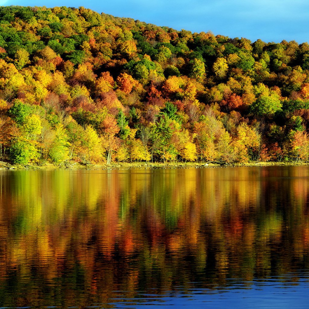 Обои деревья, вода, отражение, осень, красота, пейзаж. природа, время года, trees, water, reflection, autumn, beauty, landscape. nature, time of the year разрешение 2048x1356 Загрузить