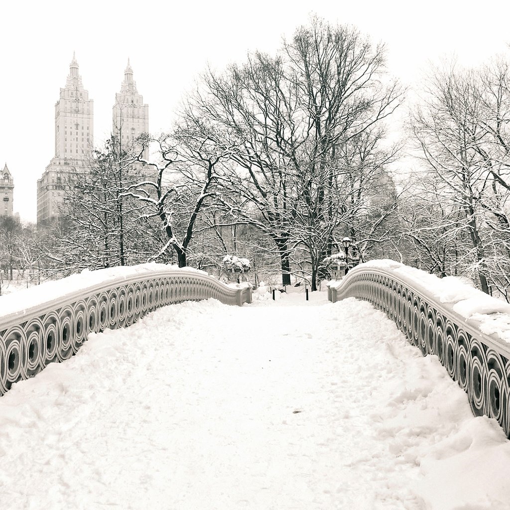 Обои снег, зима, мост, чёрно-белое, нью йорк, центральный парк, snow, winter, bridge, black and white, new york, central park разрешение 1920x1200 Загрузить