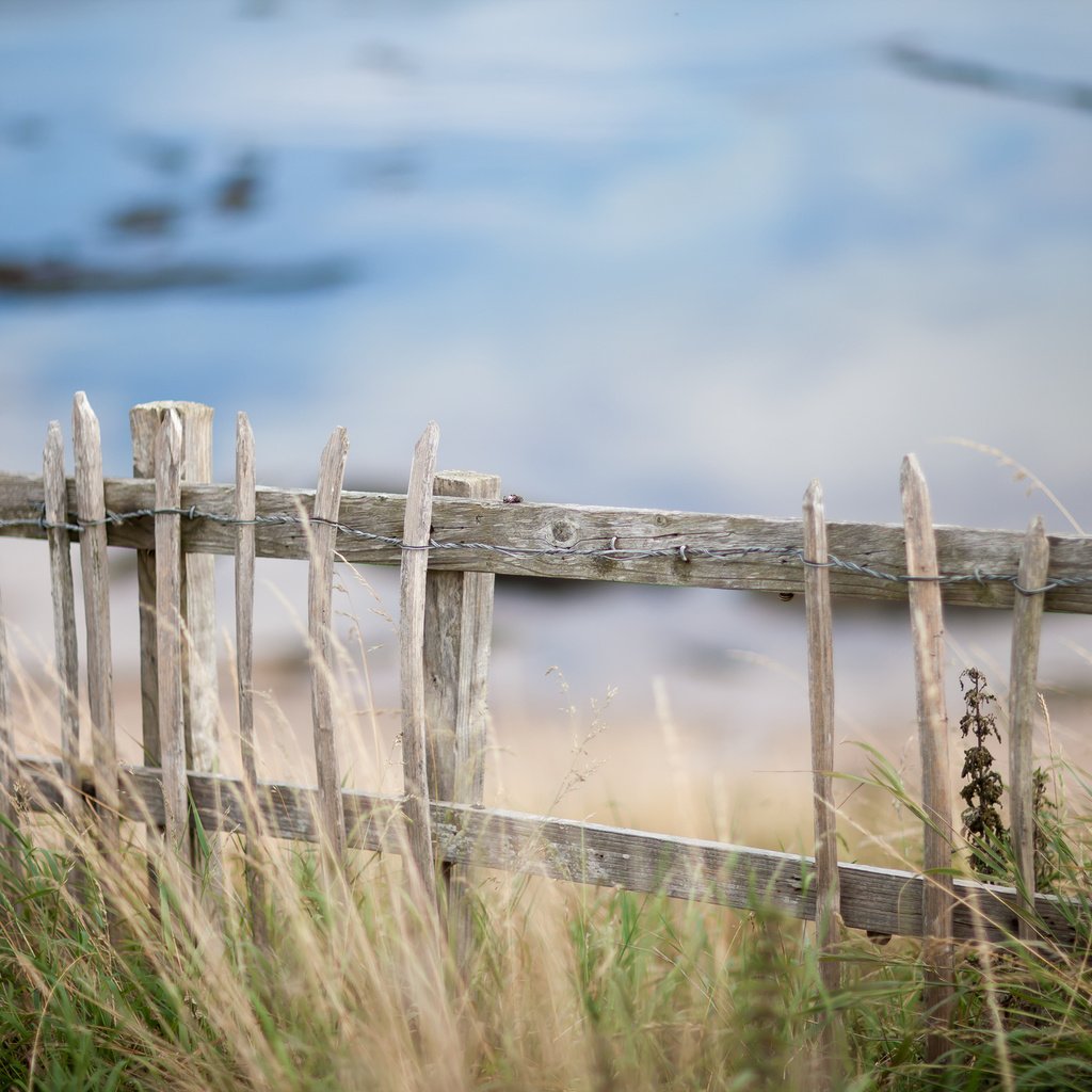 Обои трава, природа, забор, grass, nature, the fence разрешение 2048x1365 Загрузить