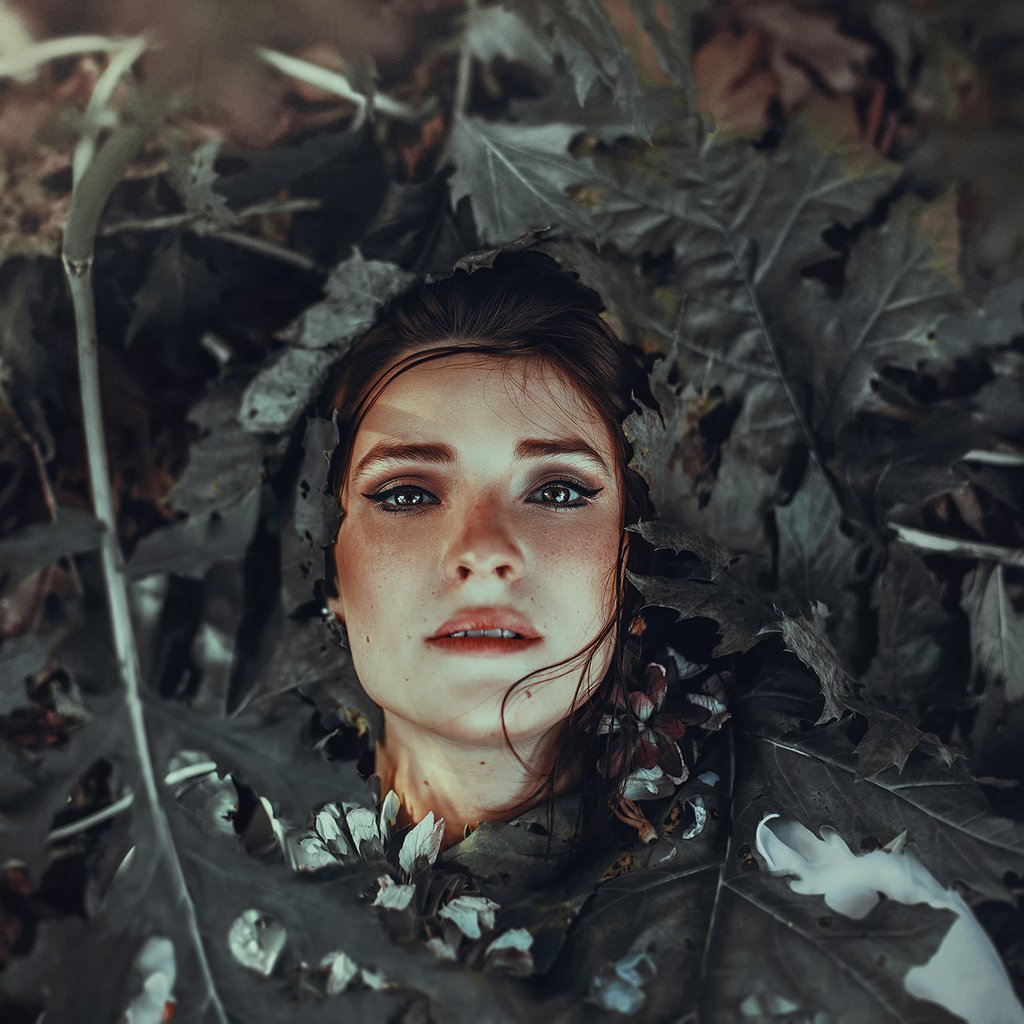 Обои листья, портрет, лицо, ronny garcia, rotten leaves, leaves, portrait, face разрешение 2048x1366 Загрузить