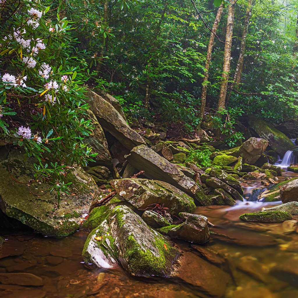 Обои деревья, природа, лес, панорама, водопад, речка, trees, nature, forest, panorama, waterfall, river разрешение 2880x1152 Загрузить