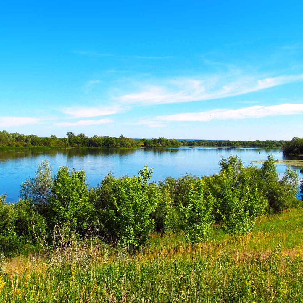 Обои озеро, лето, lake, summer разрешение 2560x1600 Загрузить