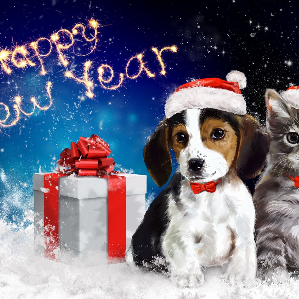 Обои арт, упаковка, снег, с новым годом, новый год, животные, кошка, собака, подарок, бант, art, packaging, snow, happy new year, new year, animals, cat, dog, gift, bow разрешение 1920x1200 Загрузить