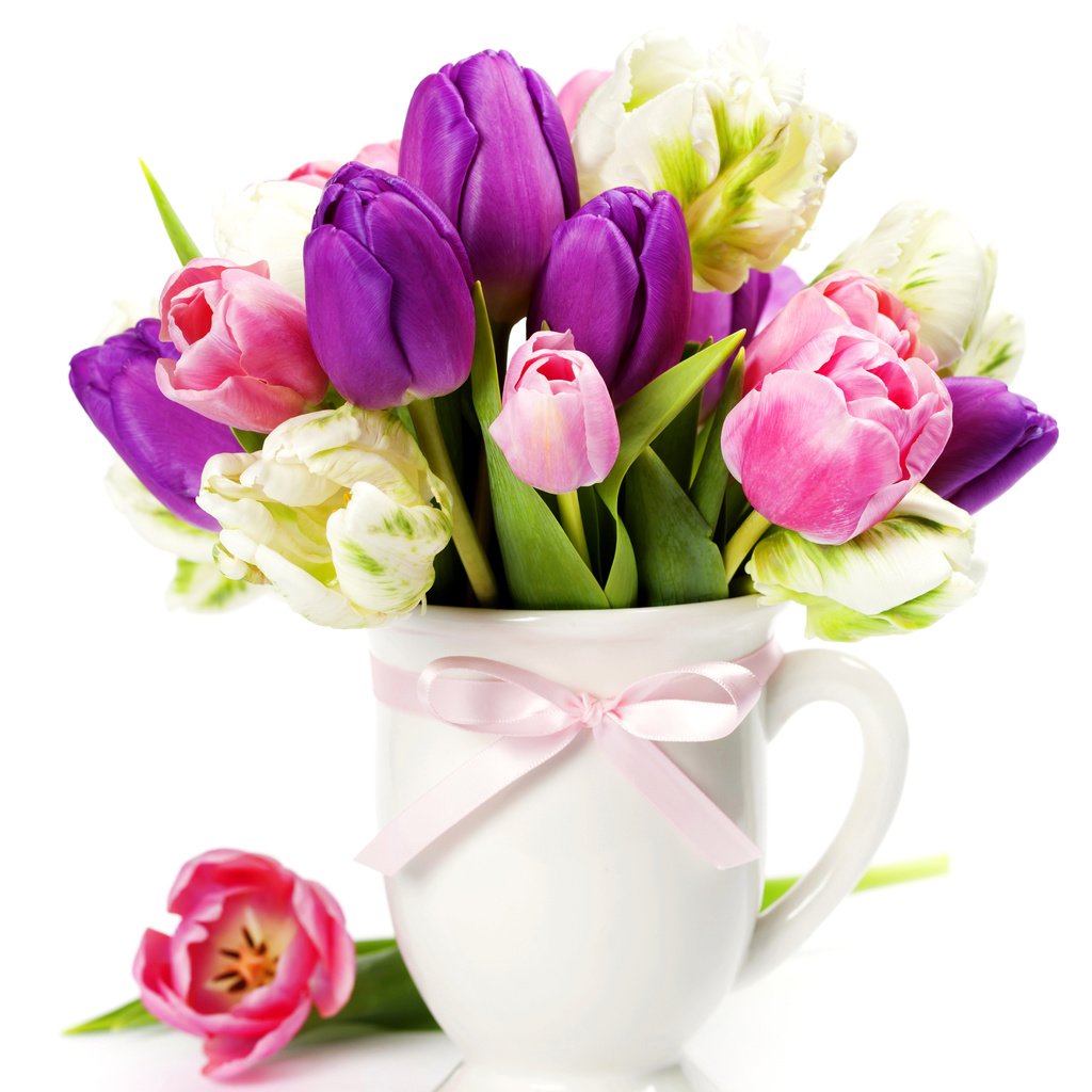 Обои весна, букет, тюльпаны, розовые, фиолетовые, тульпаны, spring, bouquet, tulips, pink, purple разрешение 5000x3653 Загрузить