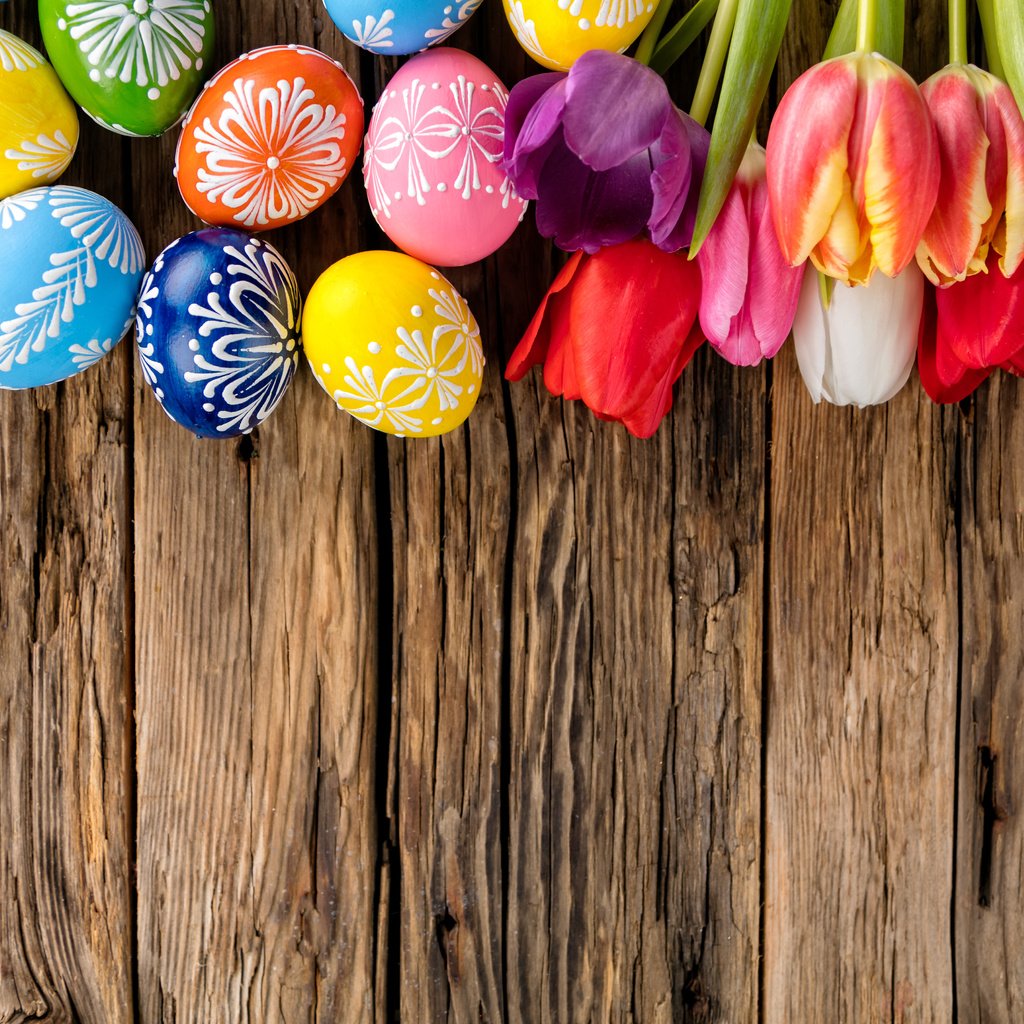 Обои тюльпаны, зеленые пасхальные, довольная, пасха, красочная, яйца, праздник, дерева, тульпаны,  цветы, глазунья, весенние, tulips, happy, easter, colorful, eggs, holiday, wood, flowers, spring разрешение 6480x3971 Загрузить