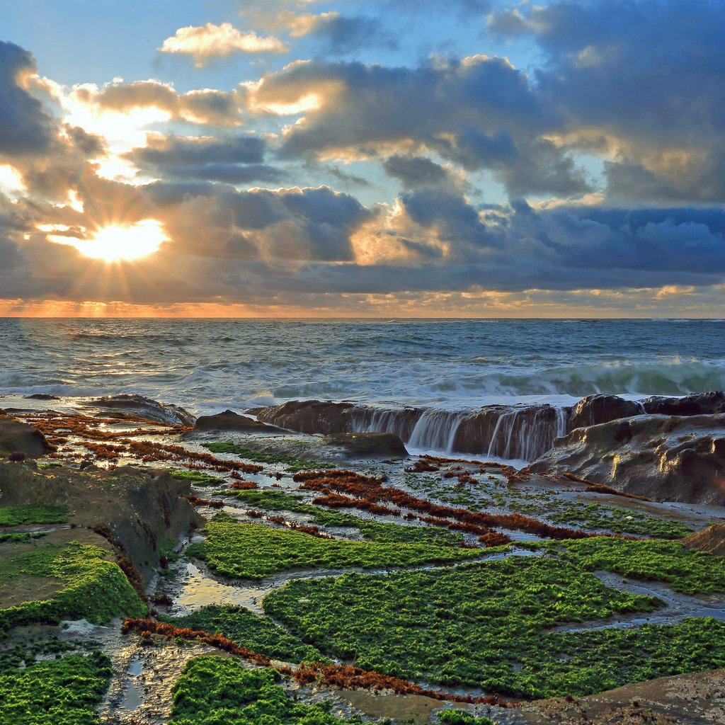 Обои облака, природа, камни, берег, закат, тихий океан, clouds, nature, stones, shore, sunset, the pacific ocean разрешение 2560x1600 Загрузить