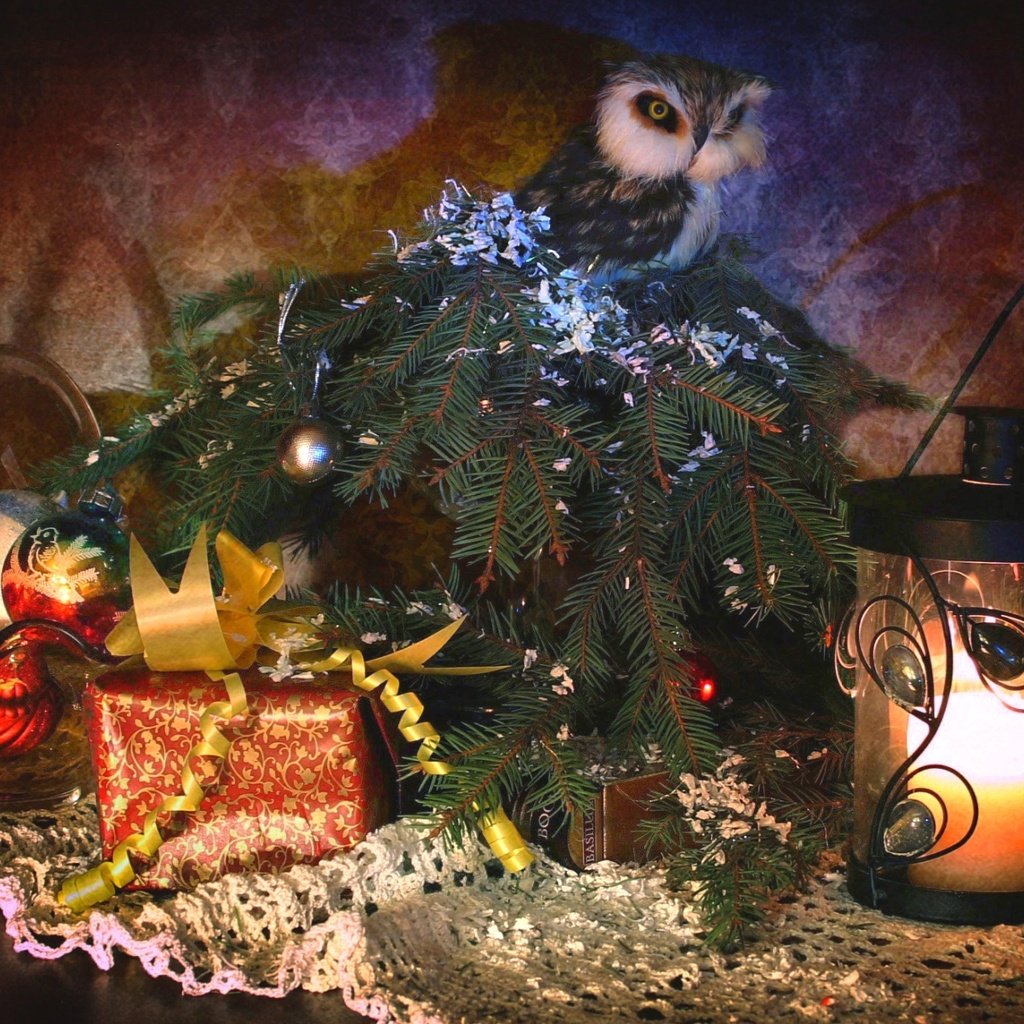 Обои сова, подарки, фонарь, ель, игрушки, owl, gifts, lantern, spruce, toys разрешение 1920x1297 Загрузить