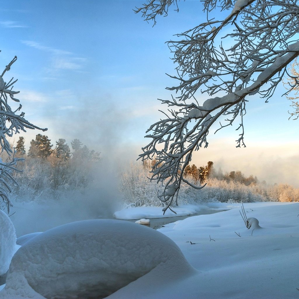 Обои деревья, снег, зима, ветки, trees, snow, winter, branches разрешение 1920x1285 Загрузить