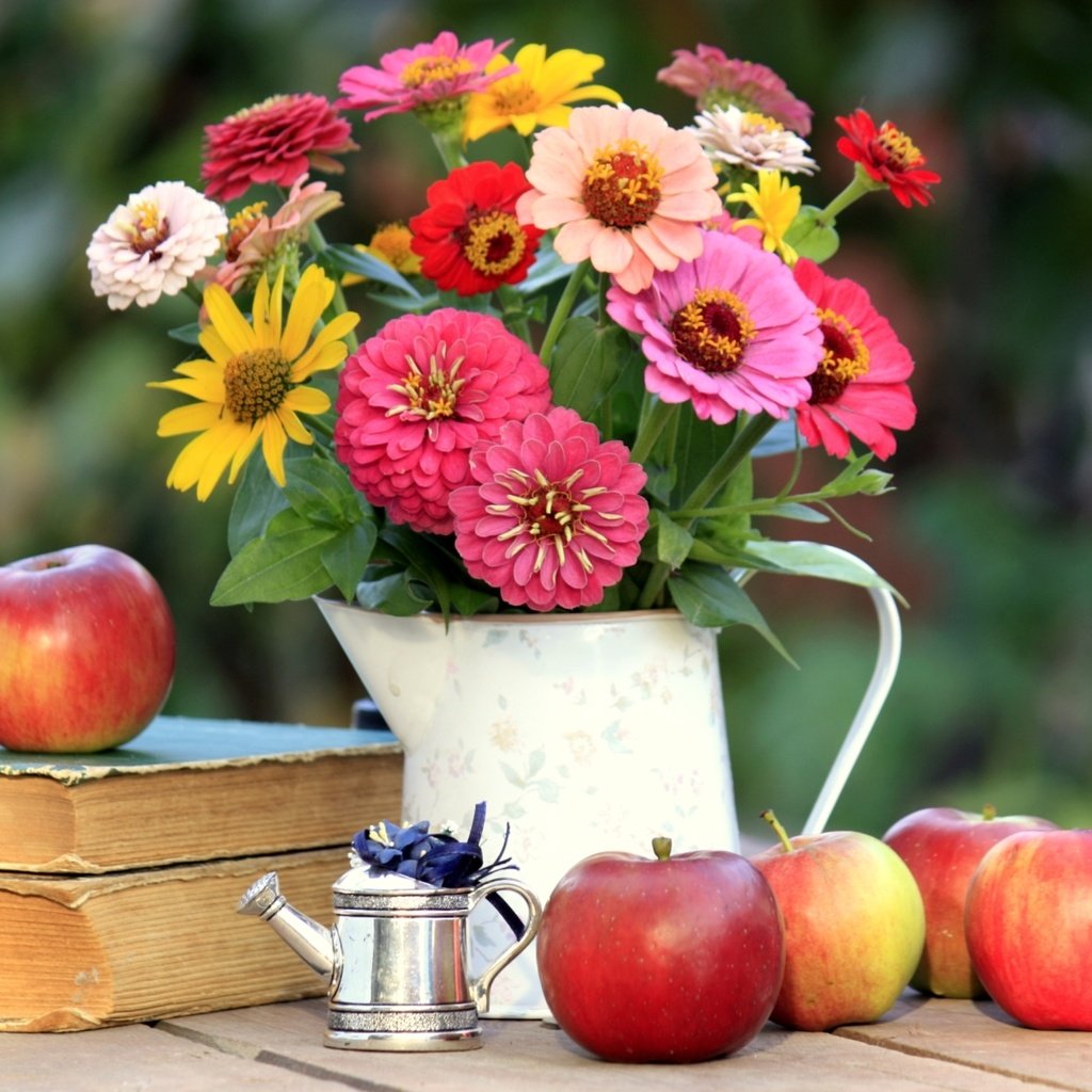 Обои яблоки, книги, букет, цинния, apples, books, bouquet, zinnia разрешение 1920x1280 Загрузить