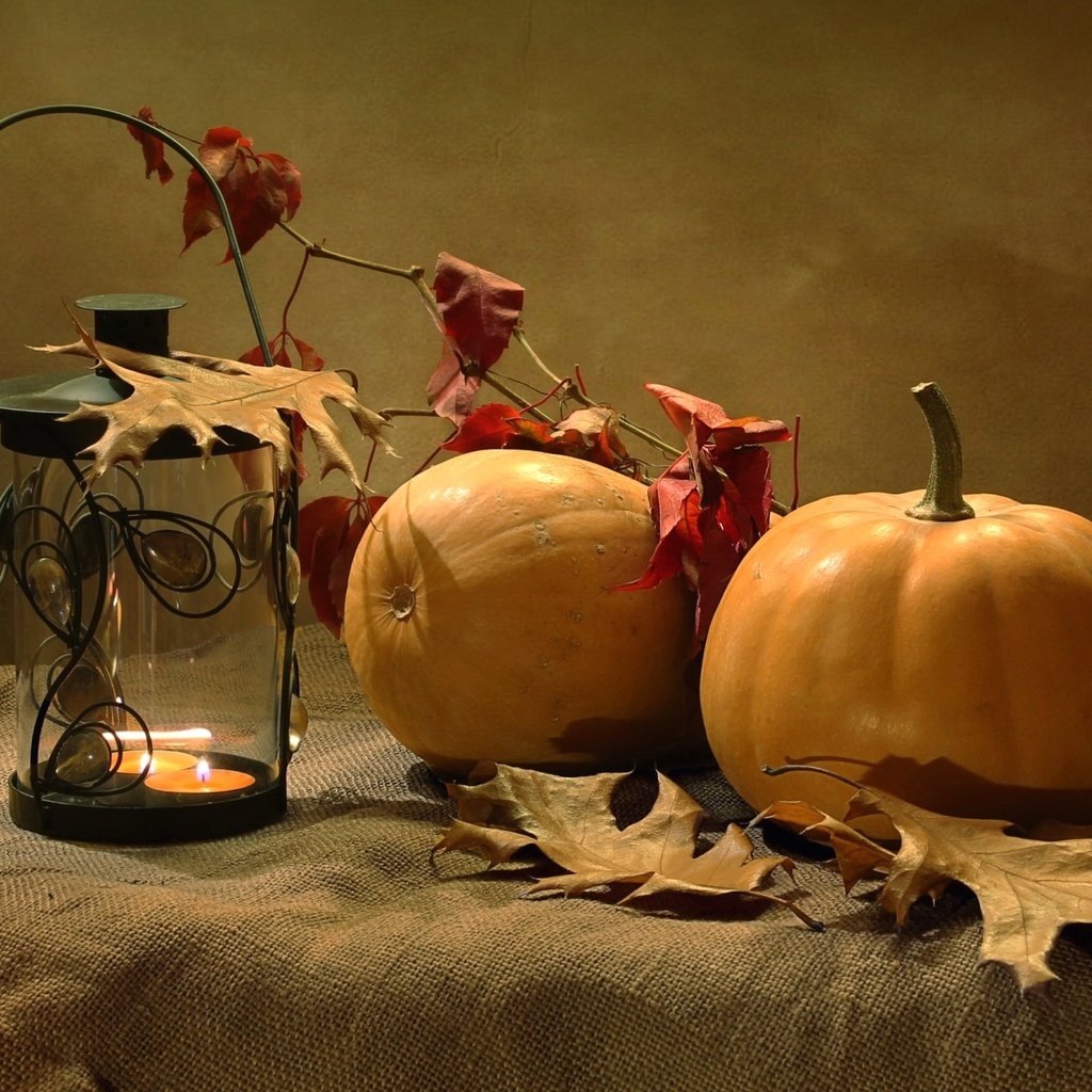 Обои листья, осень, фонарь, тыква, leaves, autumn, lantern, pumpkin разрешение 2000x1306 Загрузить