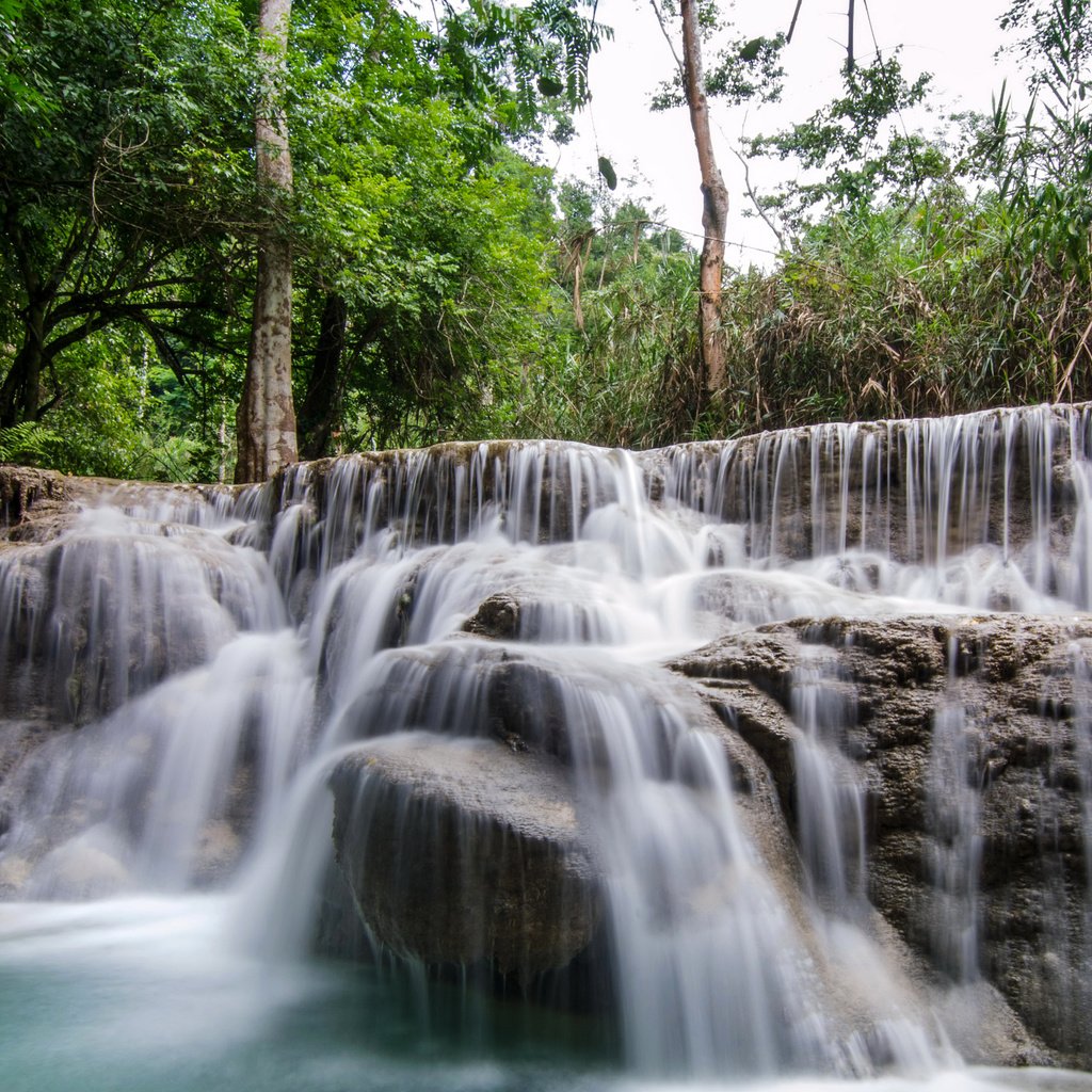 Обои деревья, камни, лес, ручей, водопад, тропики, лаос, kuang si falls, trees, stones, forest, stream, waterfall, tropics, laos разрешение 3000x2000 Загрузить