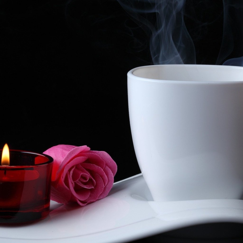 Обои фон, цветок, роза, кофе, свеча, background, flower, rose, coffee, candle разрешение 1920x1200 Загрузить