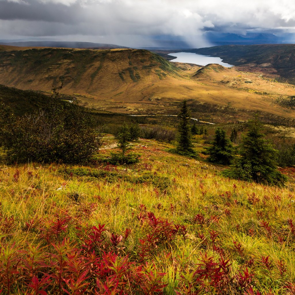 Обои озеро, холмы, панорама, сша, аляска, национальный парк денали, lake, hills, panorama, usa, alaska, denali national park разрешение 3750x2491 Загрузить