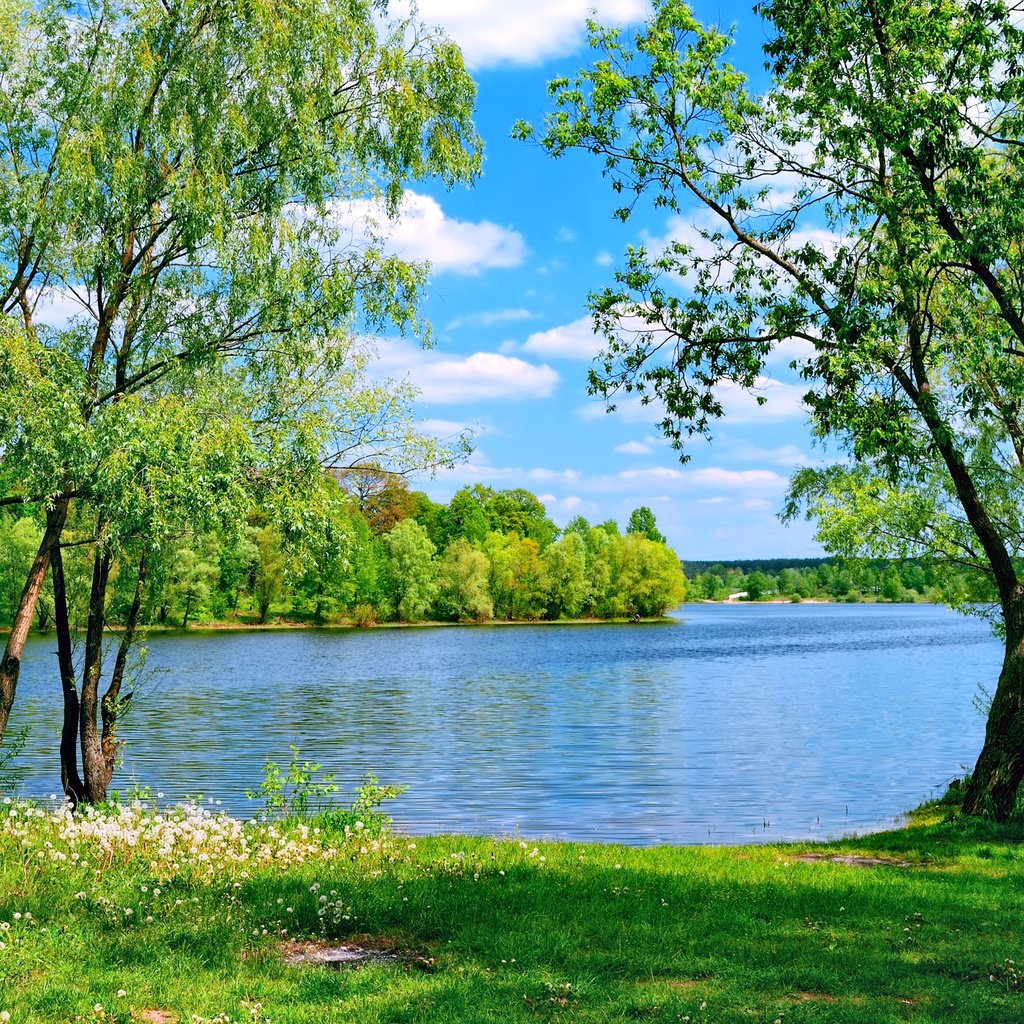 Обои небо, деревья, озеро, природа, лето, the sky, trees, lake, nature, summer разрешение 2400x1600 Загрузить