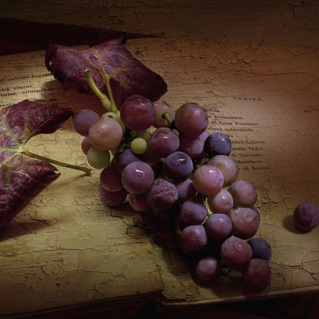 Обои текстура, виноград, винтаж, ягоды, книга, гроздь, texture, grapes, vintage, berries, book, bunch разрешение 1920x1280 Загрузить