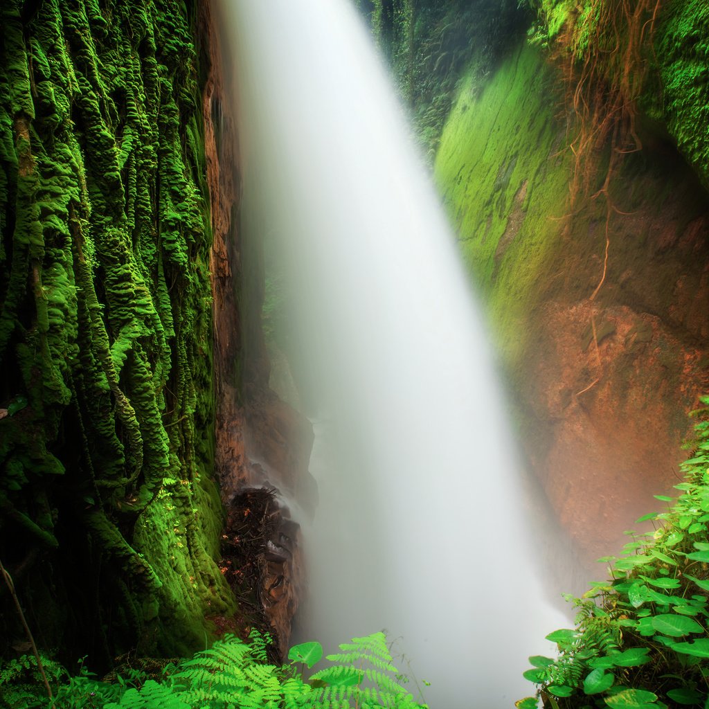 Обои вода, камни, водопад, поток, мох, water, stones, waterfall, stream, moss разрешение 2048x1365 Загрузить