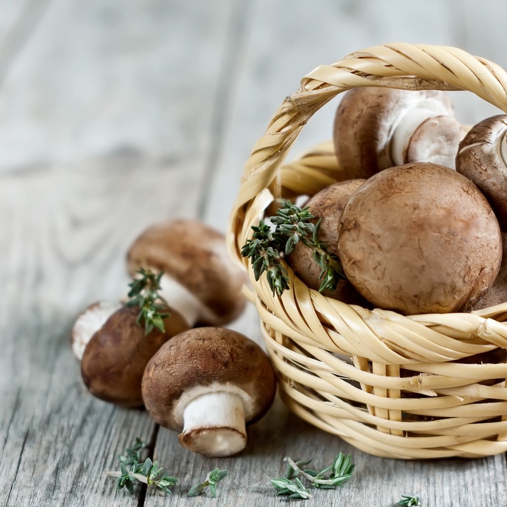 Обои грибы, корзинка, шампиньоны, портабелло, портобелло, mushrooms, basket, portabello, portobello разрешение 2700x1800 Загрузить