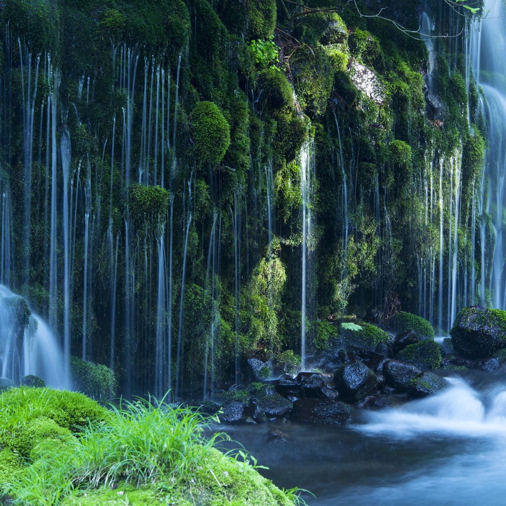 Обои камни, водопад, поток, мох, stones, waterfall, stream, moss разрешение 5423x3615 Загрузить