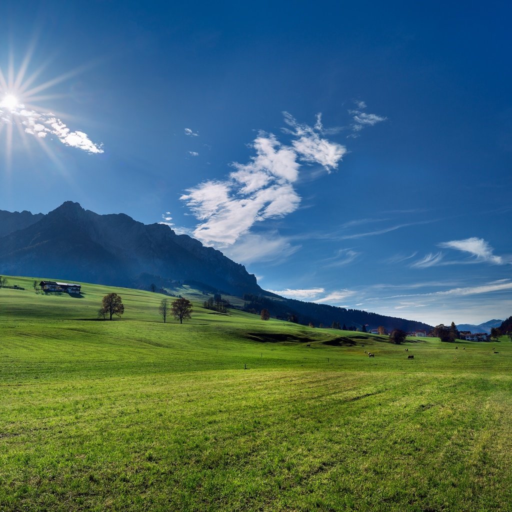 Обои горы, австрия, луг, альпы, mountains, austria, meadow, alps разрешение 2048x1296 Загрузить