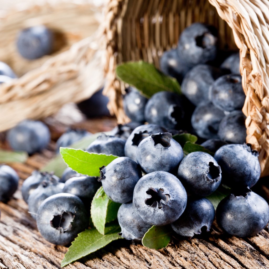 Обои ягоды, лесные ягоды, черника, корзинка, парное, черничный, berries, blueberries, basket, fresh, blueberry разрешение 2880x1920 Загрузить