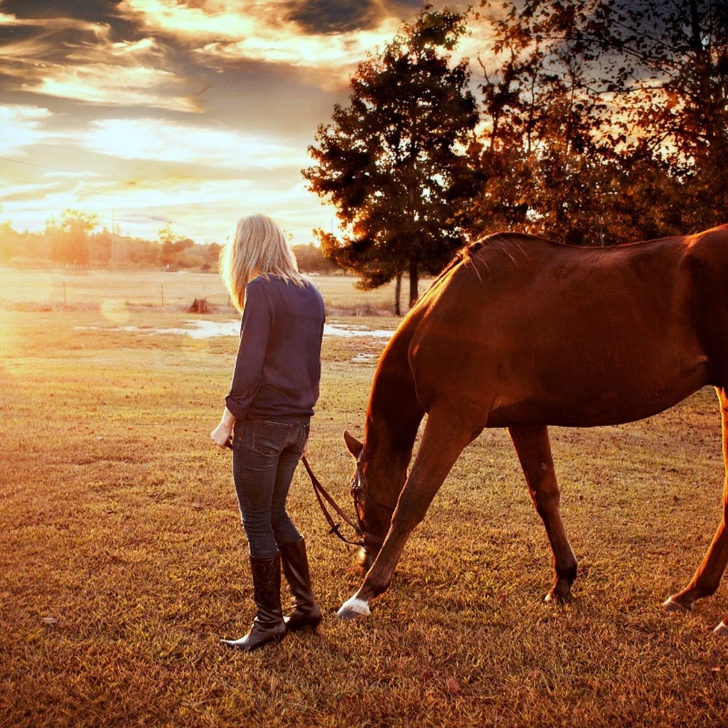 Обои лошадь, деревья, восход, солнце, природа, девушка, конь, солнечные лучи, horse, trees, sunrise, the sun, nature, girl, the sun's rays разрешение 1920x1200 Загрузить