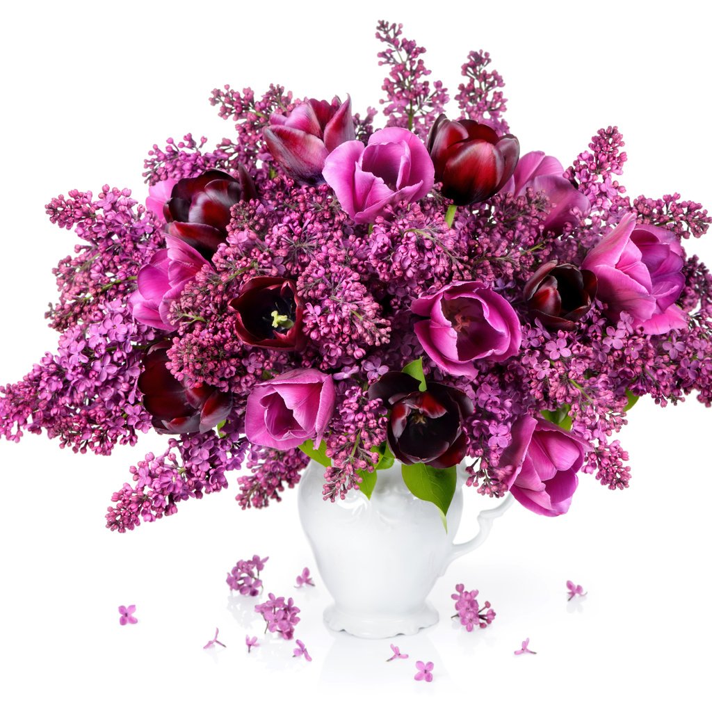 Обои цветы, бутоны, лепестки, букет, тюльпаны, сирень, сиреневая, тульпаны, букеты, flowers, buds, petals, bouquet, tulips, lilac, bouquets разрешение 5000x3790 Загрузить