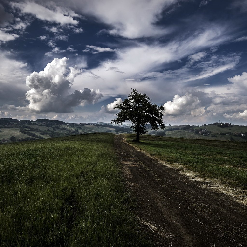 Обои дорога, дерево, поле, road, tree, field разрешение 2048x1367 Загрузить