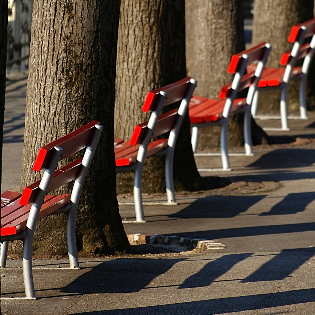 Обои город, улица, скамьи, the city, street, bench разрешение 2560x1600 Загрузить