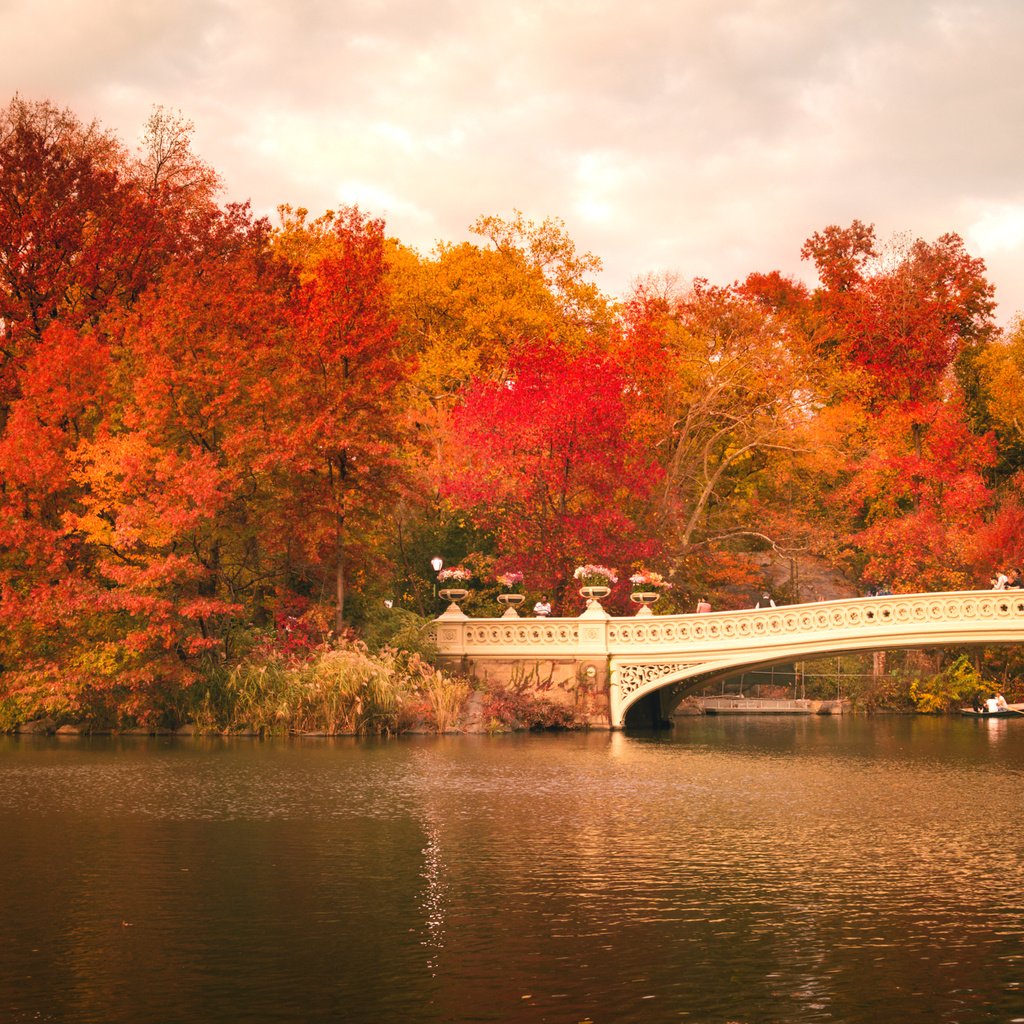 Обои деревья, центральный парк, листья, bow bridge, люди, осень, лодка, зеркало, нью-йорк, соединённые штаты, trees, central park, leaves, people, autumn, boat, mirror, new york, united states разрешение 2248x1499 Загрузить