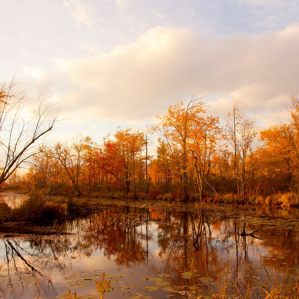 Обои небо, облака, деревья, река, отражение, осень, the sky, clouds, trees, river, reflection, autumn разрешение 2048x1260 Загрузить