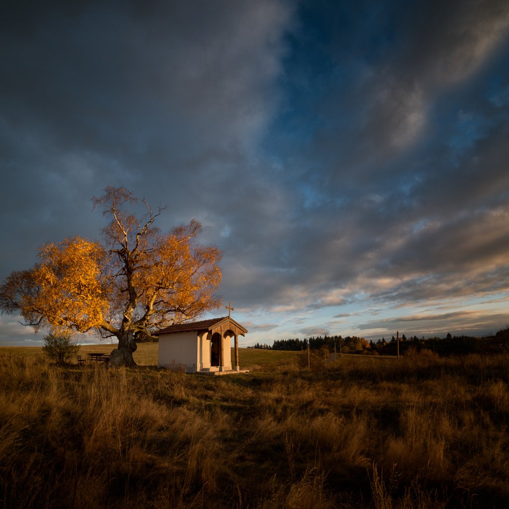 Обои дерево, поле, осень, tree, field, autumn разрешение 2048x1280 Загрузить