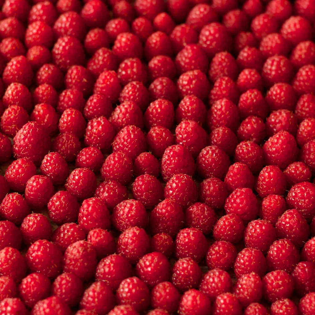 Обои текстура, макро, малина, ягоды, texture, macro, raspberry, berries разрешение 5112x3154 Загрузить