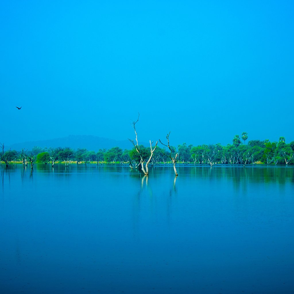 Обои небо, деревья, вода, озеро, природа, пейзаж, птицы, синее, the sky, trees, water, lake, nature, landscape, birds, blue разрешение 4288x2160 Загрузить