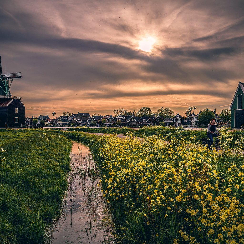 Обои небо, цветы, мельница, дома, through the yellow furrow, the sky, flowers, mill, home разрешение 2000x1335 Загрузить