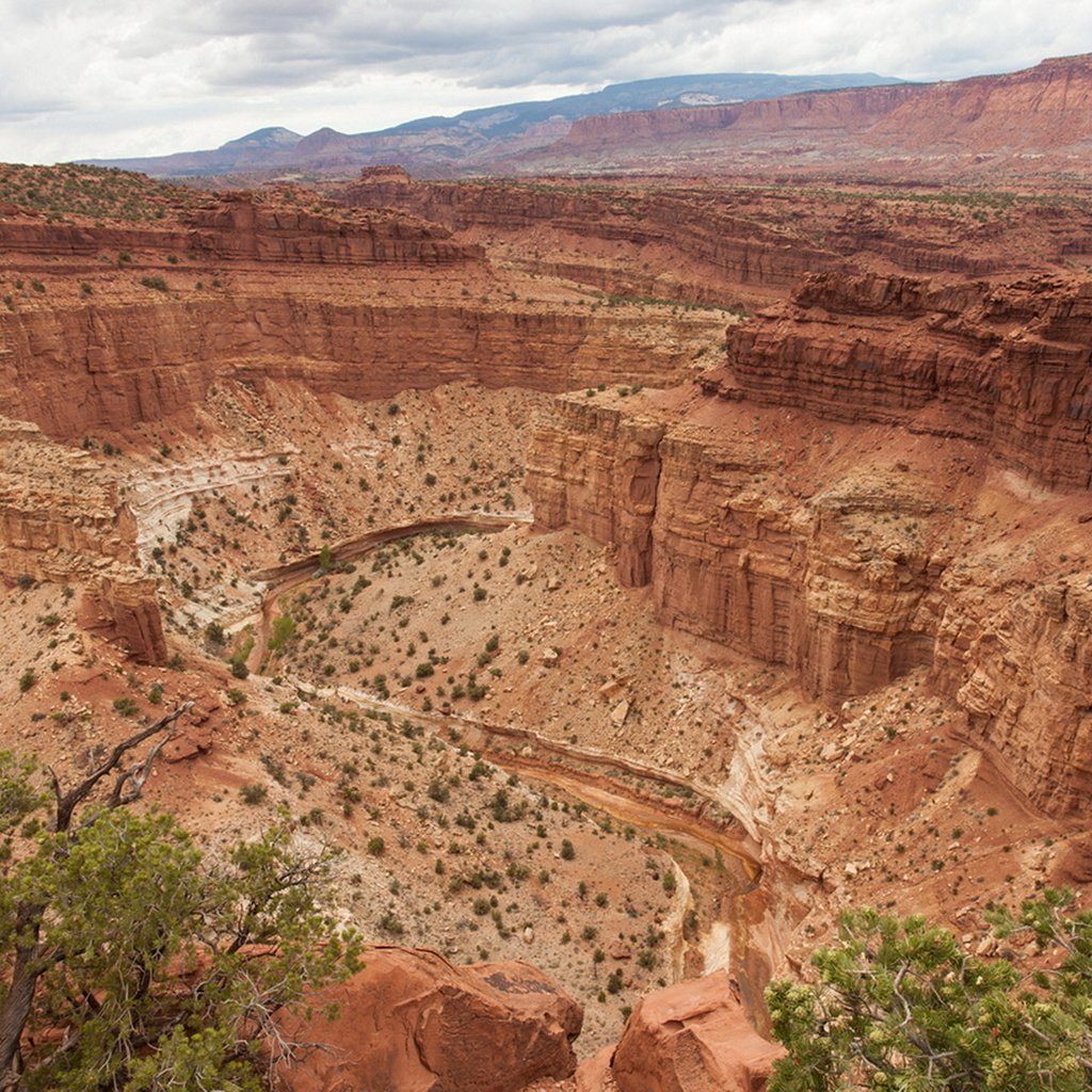 Обои каньон, сша, национальный парк, капитол-риф, штат юта, canyon, usa, national park, capitol reef, utah разрешение 1920x1280 Загрузить