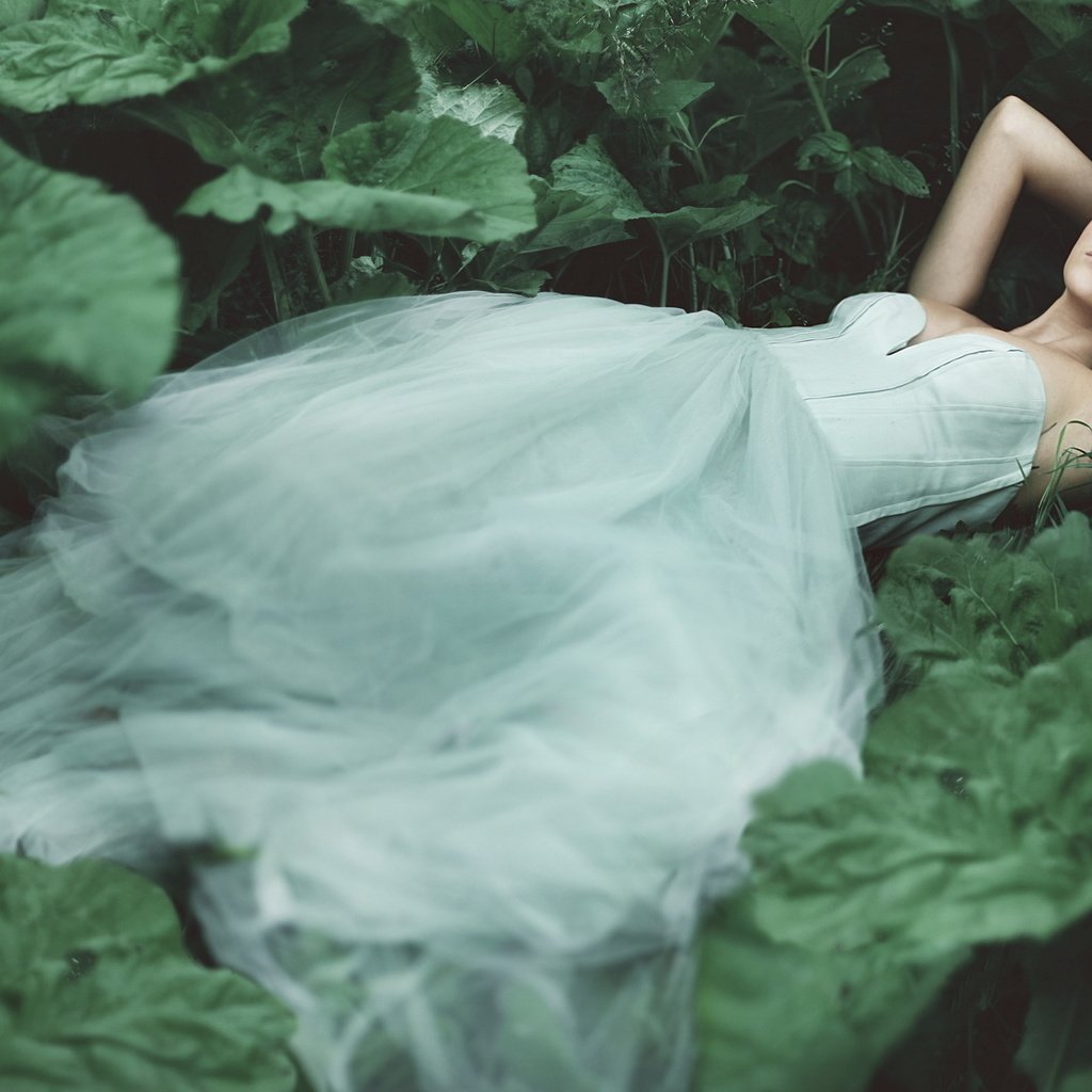 Обои растения, лес, листья, девушка, платье, лежит, принцесса, plants, forest, leaves, girl, dress, lies, princess разрешение 2048x1152 Загрузить