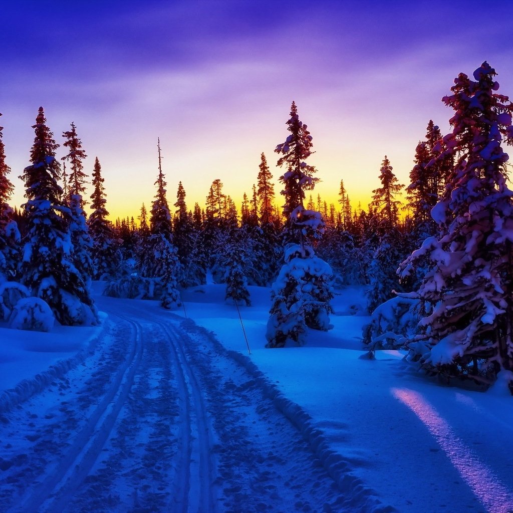 Обои дорога, деревья, лес, закат, зима, пейзаж, road, trees, forest, sunset, winter, landscape разрешение 1920x1200 Загрузить
