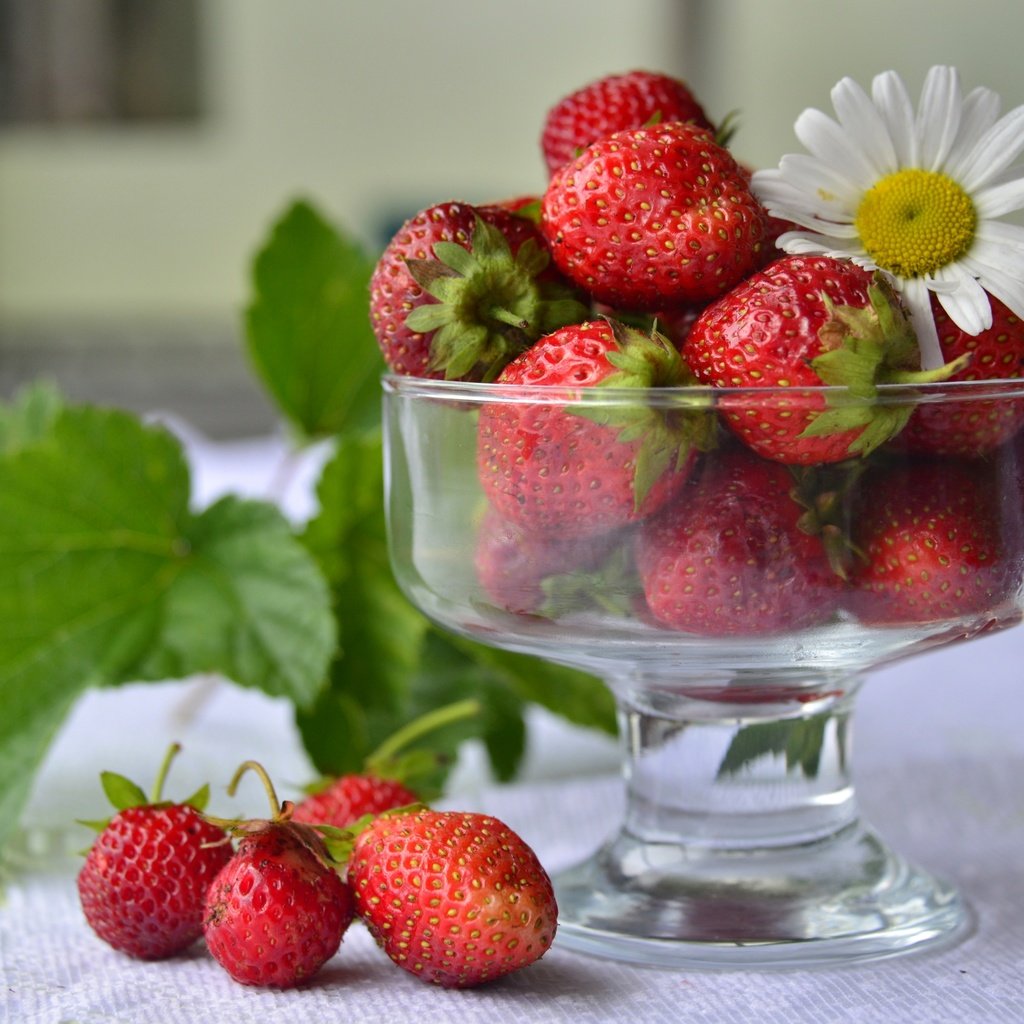 Обои клубника, красный, ромашка, ягоды, вазочка, strawberry, red, daisy, berries, vase разрешение 3300x2145 Загрузить