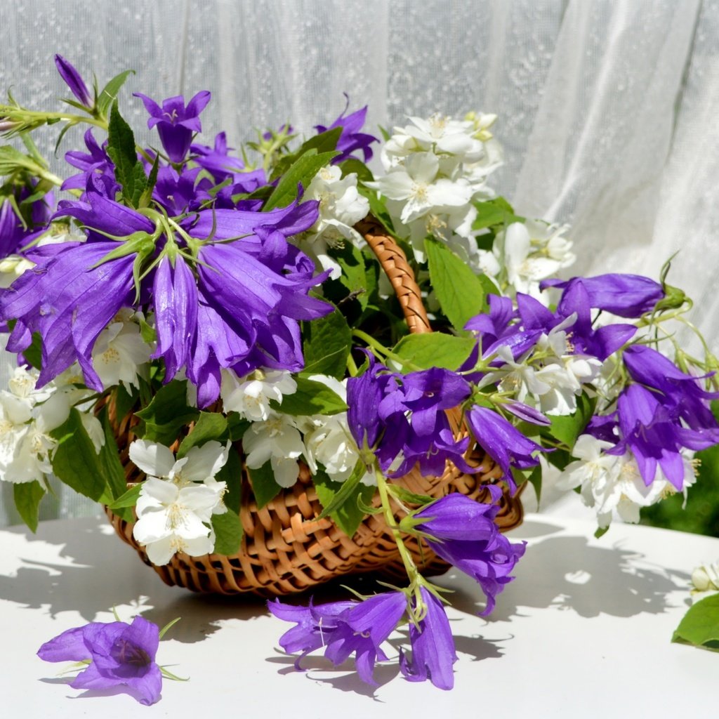 Обои букет, корзина, колокольчики, жасмин, bouquet, basket, bells, jasmine разрешение 2400x1565 Загрузить