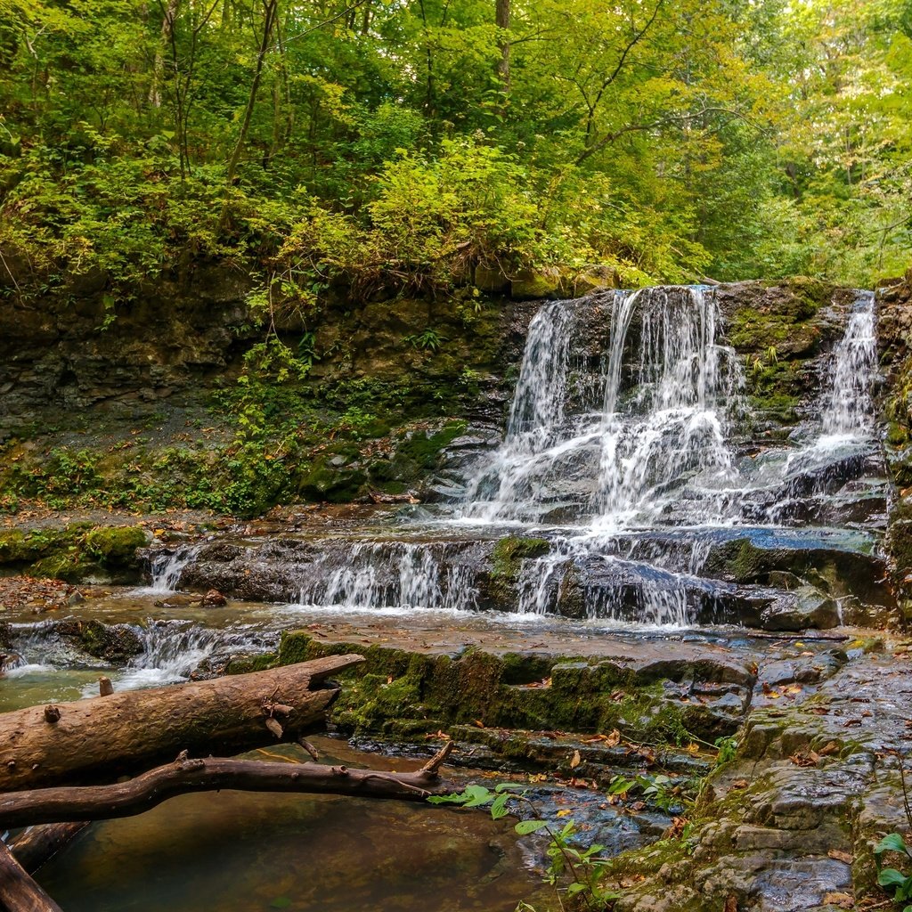 Обои деревья, вода, река, камни, лес, поток, берег реки, trees, water, river, stones, forest, stream, the river разрешение 2400x1540 Загрузить