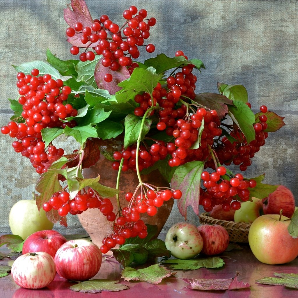 Обои фрукты, яблоки, осень, ягоды, натюрморт, калина, fruit, apples, autumn, berries, still life, kalina разрешение 2100x1425 Загрузить