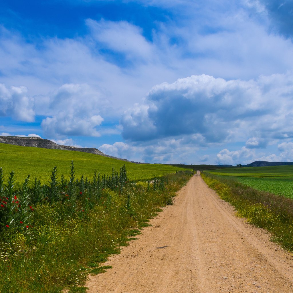 Обои дорога, цветы, трава, горы, природа, испания, кастилья, road, flowers, grass, mountains, nature, spain, castilla разрешение 4607x3126 Загрузить