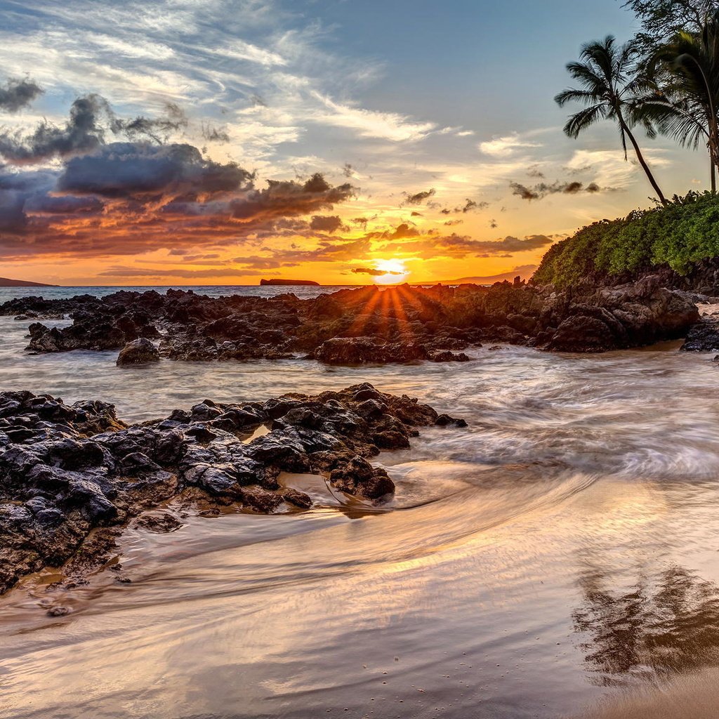 Обои природа, закат, пляж, пальмы, океан, nature, sunset, beach, palm trees, the ocean разрешение 2048x1152 Загрузить