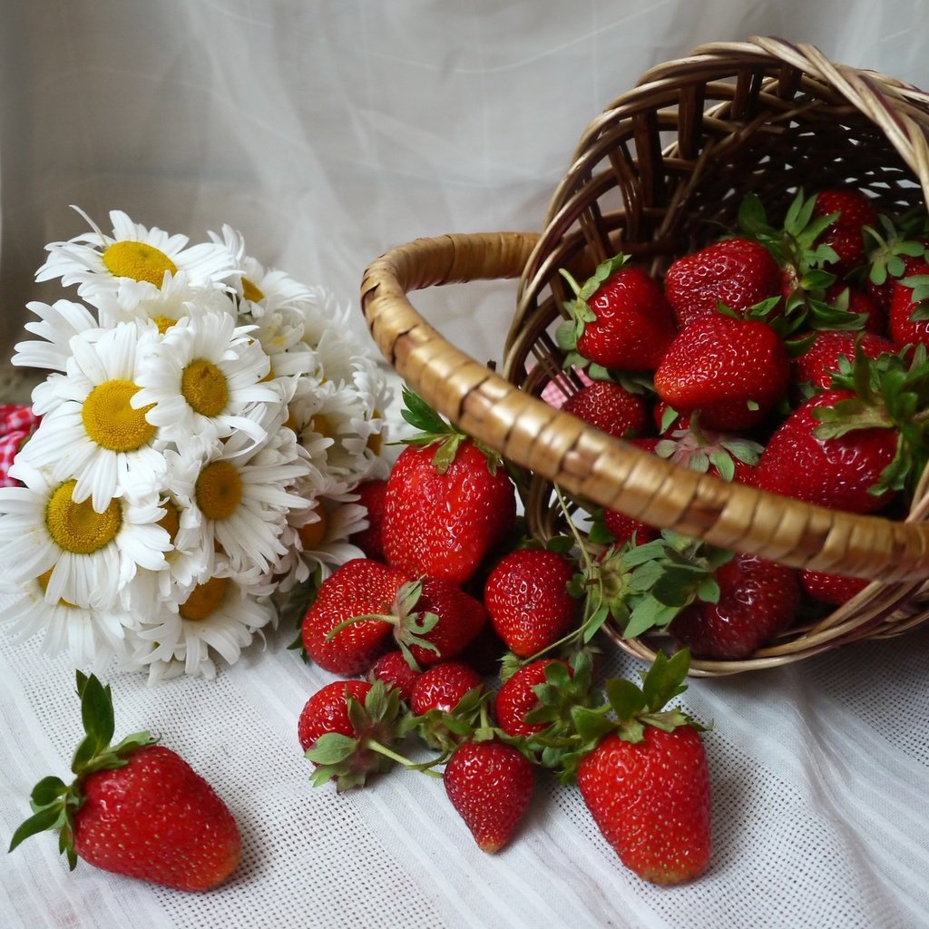 Обои клубника, ромашки, корзина, ягоды, strawberry, chamomile, basket, berries разрешение 2400x1615 Загрузить