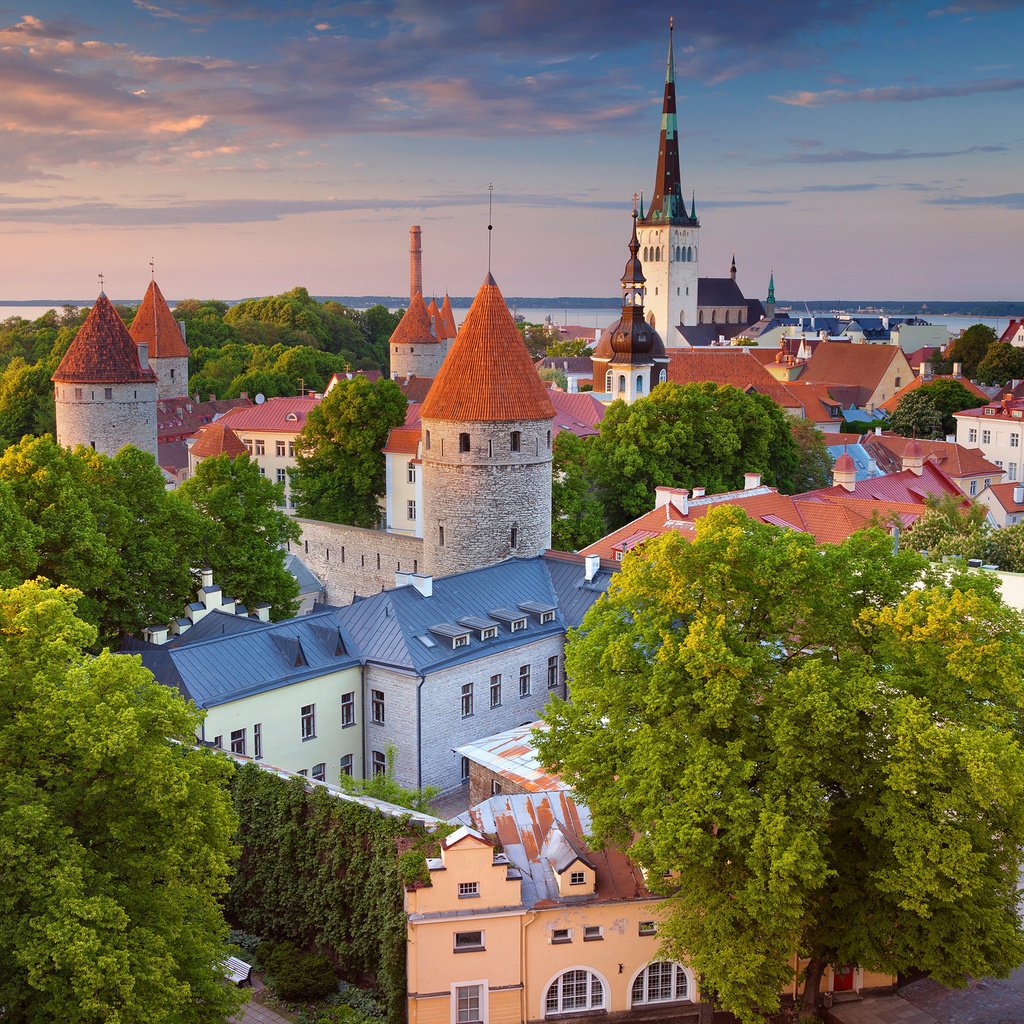 Обои панорама, город, дома, здания, эстония, таллин, таллинн, panorama, the city, home, building, estonia, tallinn разрешение 2048x1365 Загрузить