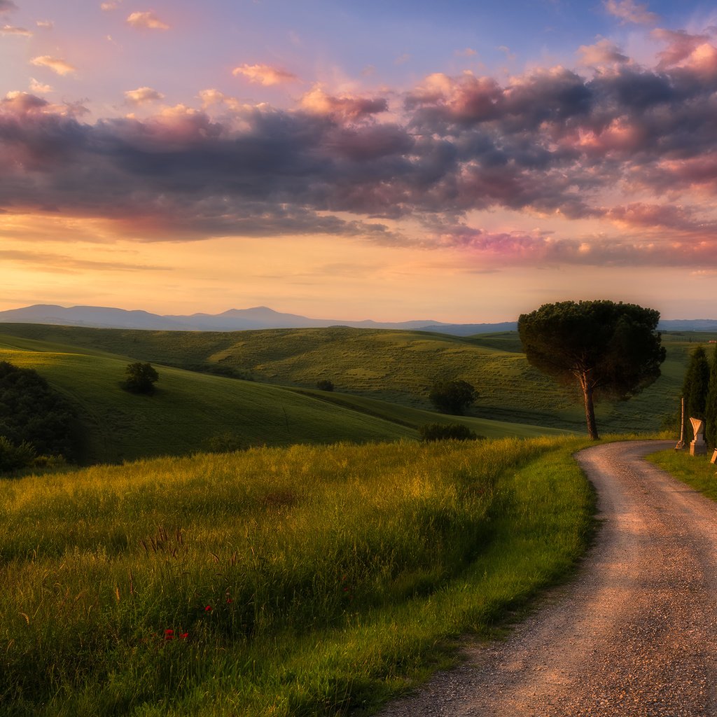 Обои небо, дорога, трава, облака, деревья, природа, утро, the sky, road, grass, clouds, trees, nature, morning разрешение 2048x1367 Загрузить